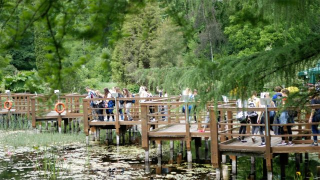 Wyjazd do arboretum Bolestraszyce, uczestnicy na pomostach nad wodą.