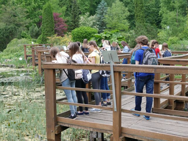 Wyjazd do arboretum Bolestraszyce, uczestnicy na pomostach nad wodą.