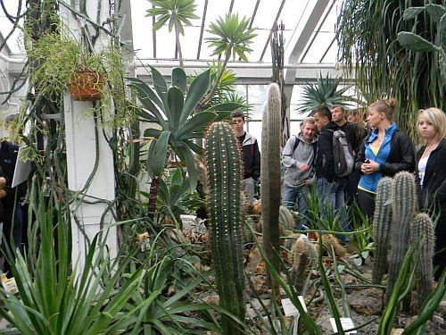 Koło biologiczno - chemiczne w Ogrodzie Botanicznym 3