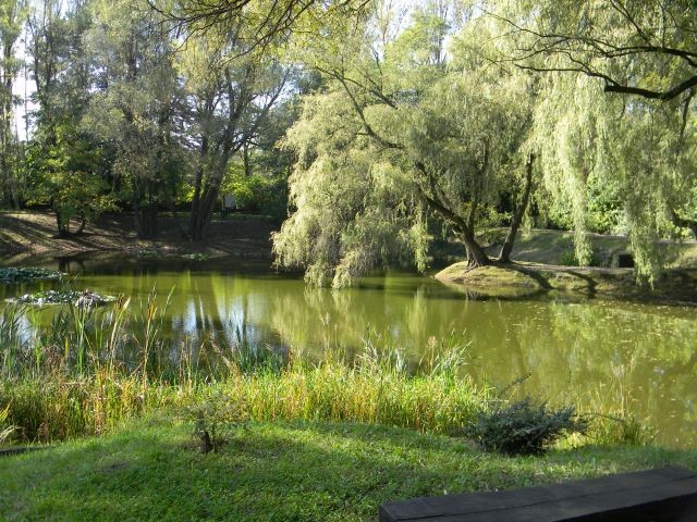 "Uczeń -online" w Zabrzu 4