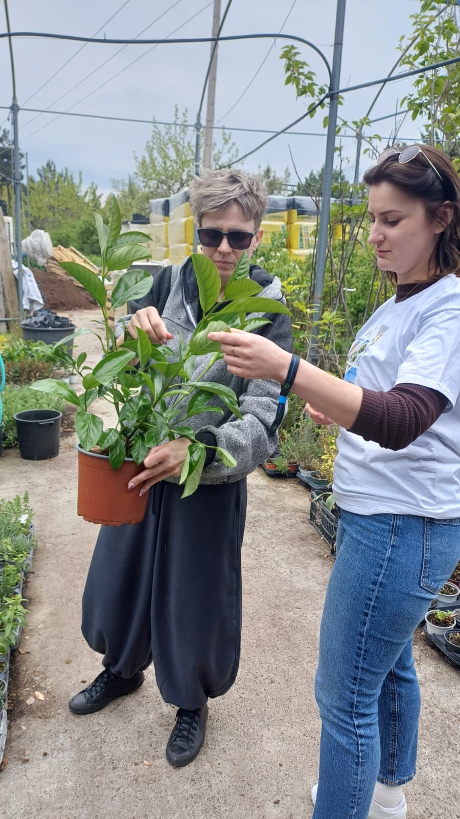 Nauczycielka na stażu zawodowym w Grecji