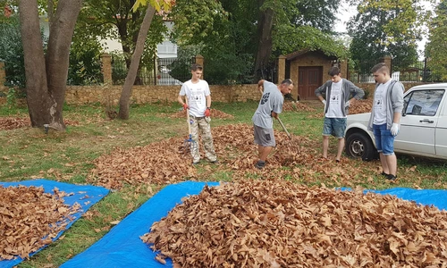 uczniowie przy pracy w ogrodzie