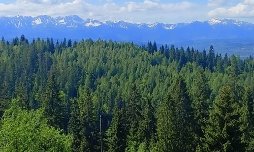 widok na Tatry