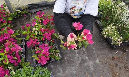 Uczniowie w trakcie praktyk zawodowych w ramach Erasmus