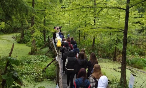 Uczniowie zwiedzają Arboretum Bolestraszyce