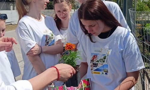 Uczniowie w trakcie praktyk zawodowych w ramach Erasmus