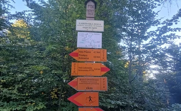drogowskaz