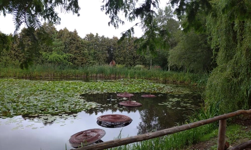 Uczniowie zwiedzają Arboretum Bolestraszyce