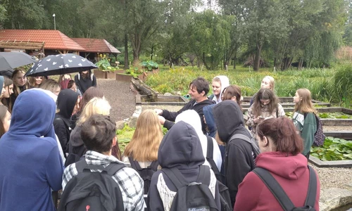 Uczniowie zwiedzają Arboretum Bolestraszyce