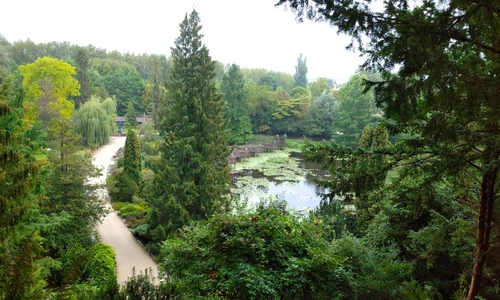 Arboretum Bolestraszyce