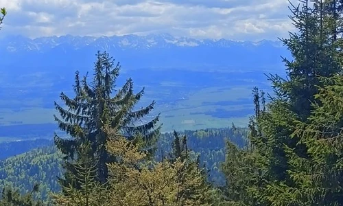 widok na Tatry