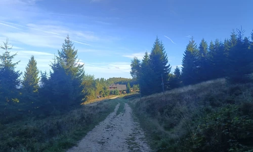Szlak w górach